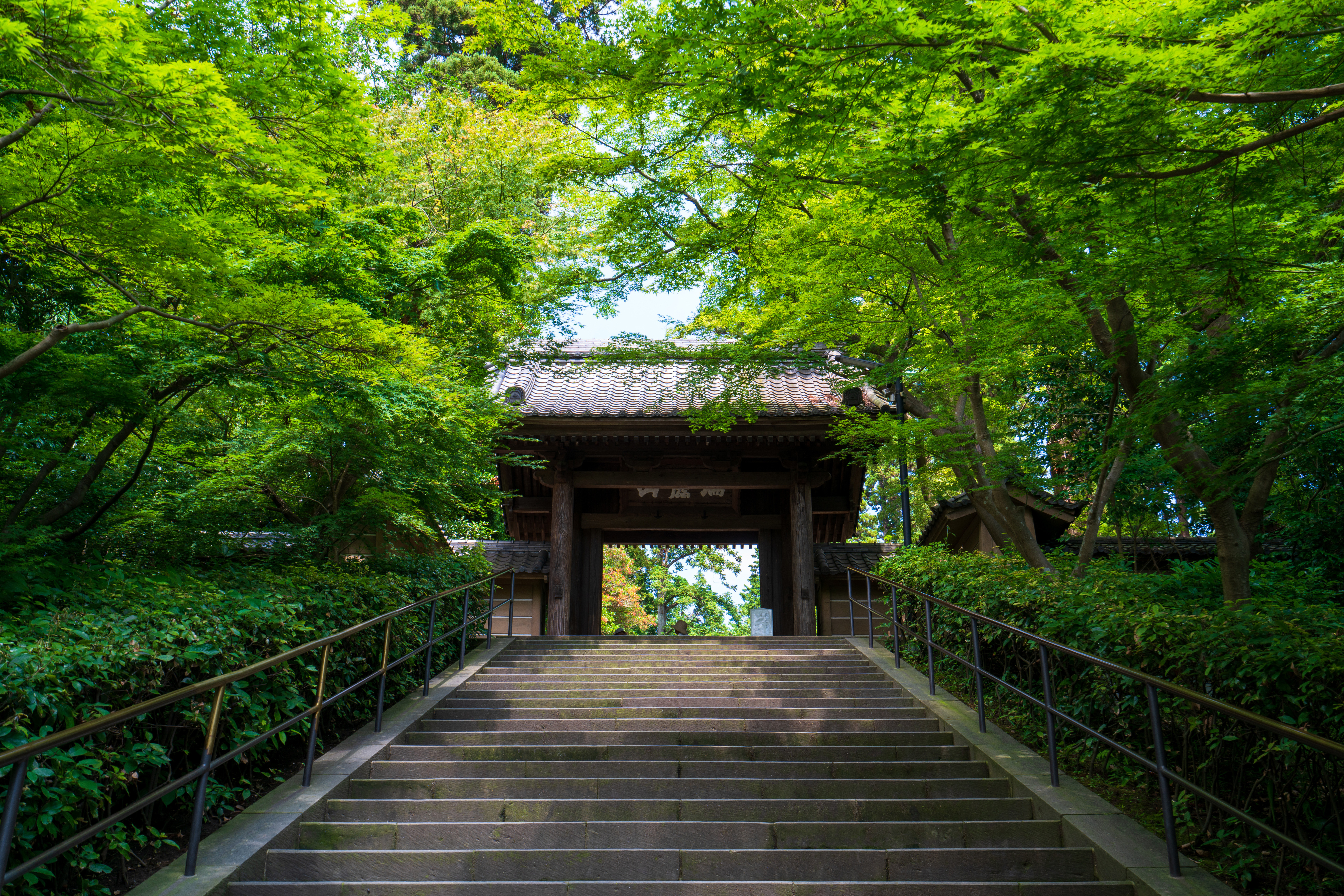 鎌倉の街